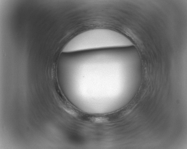 X0000071900165200607070928