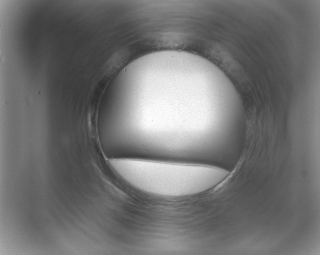 X0000071900166200607070928