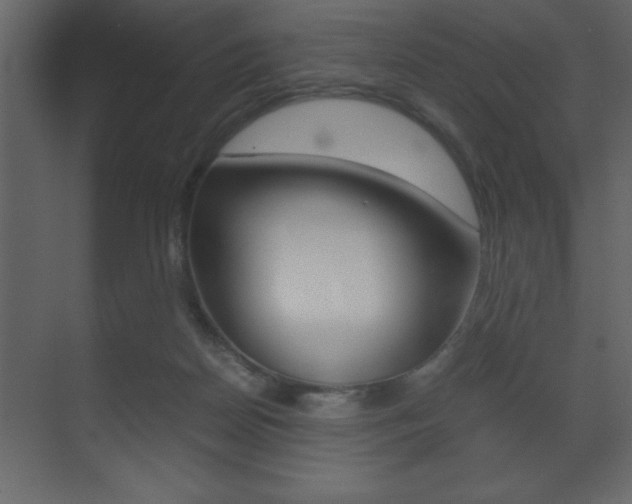 X0000071900170200607070928