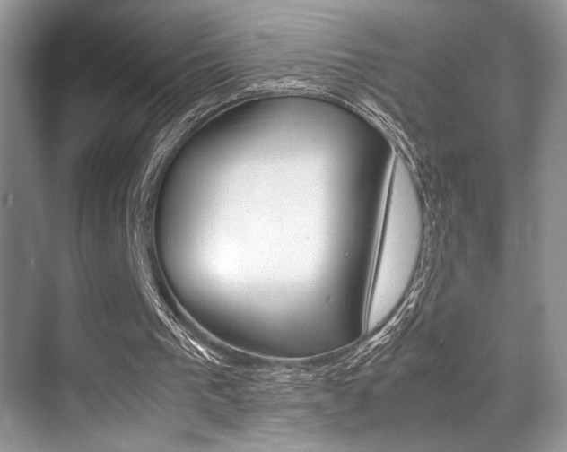 X0000071900193200607070928