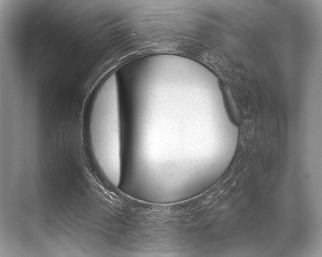 X0000071900194200607070928