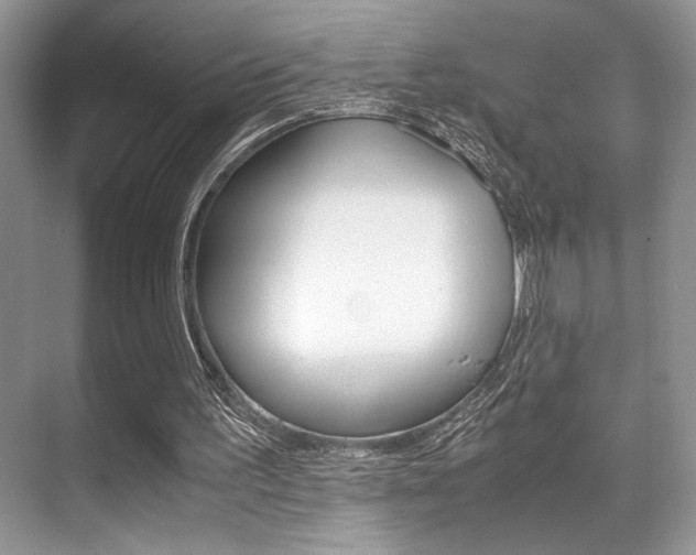 X0000071900195200607070928