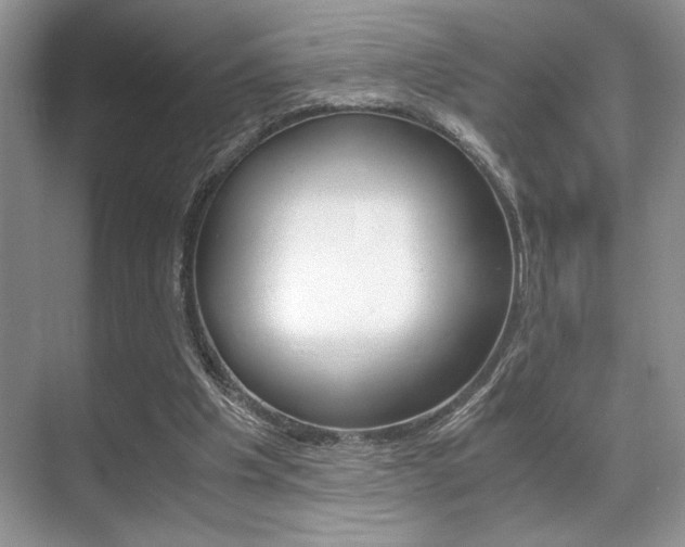 X0000071900201200607070928
