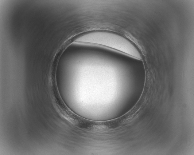 X0000071900203200607070928