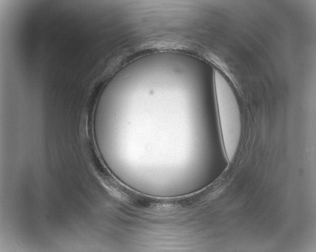 X0000071900205200607070928