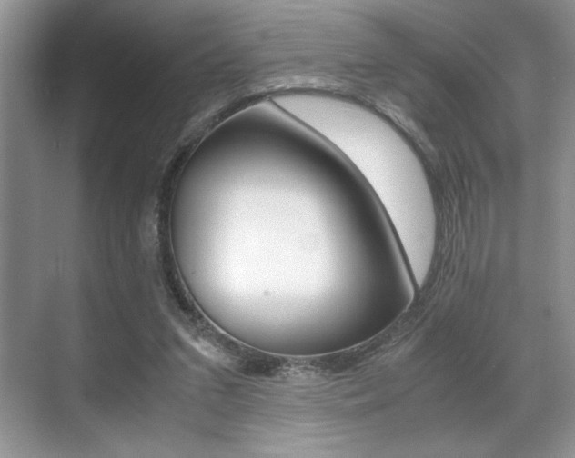 X0000071900207200607070928