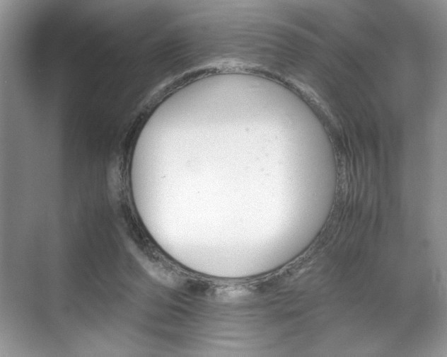 X0000071900208200607070928