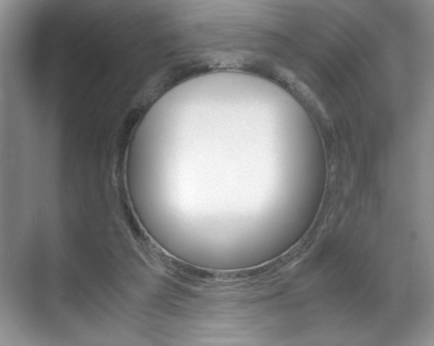 X0000071900209200607070928