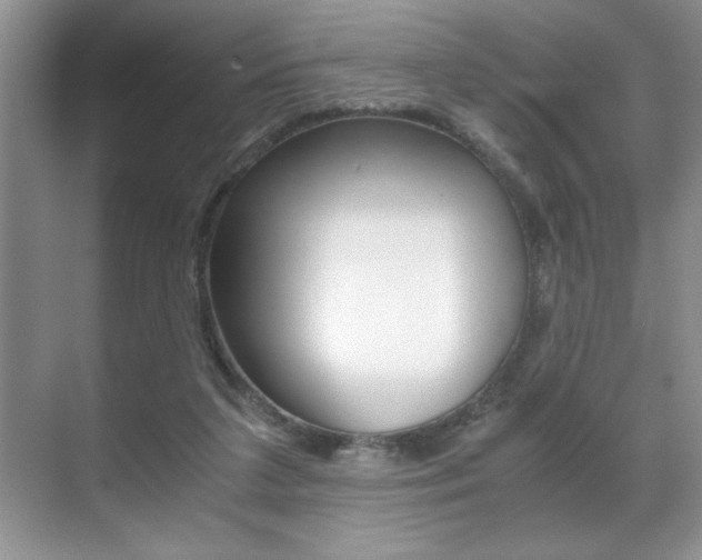 X0000071900211200607070928