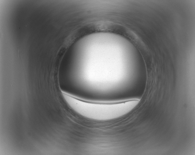 X0000071900217200607070928