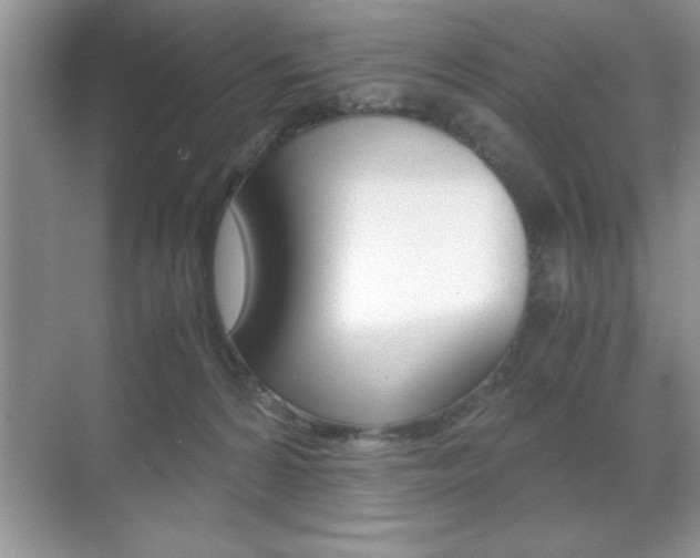 X0000071900224200607070927