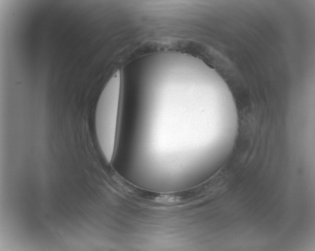 X0000071900225200607070927