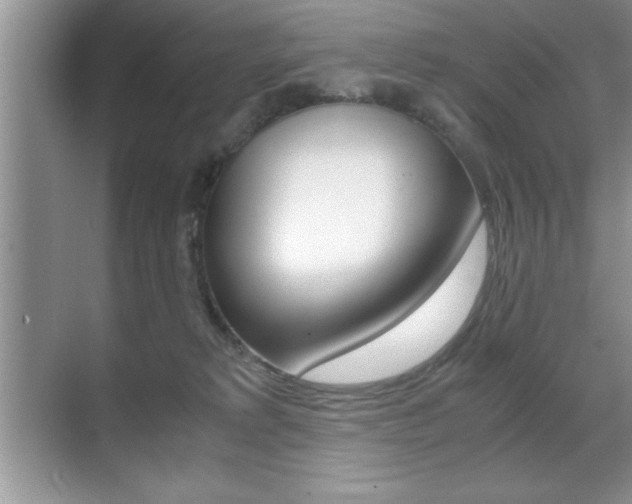 X0000071900229200607070927