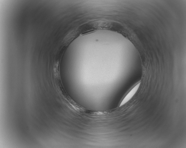X0000071900239200607070927