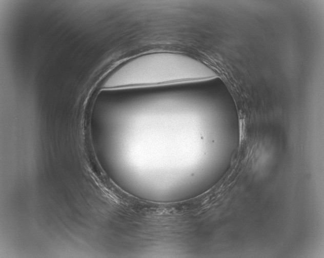X0000071900243200607070926