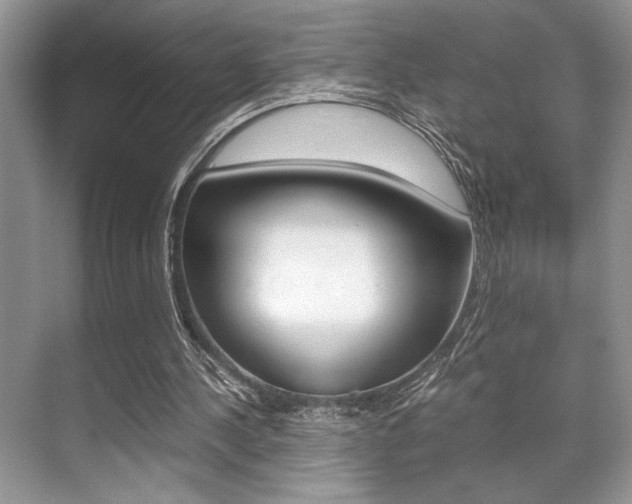 X0000071900244200607070926