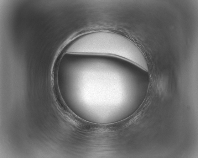 X0000071900246200607070926