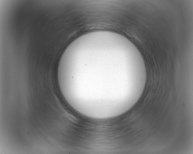 X0000071900264200607070927