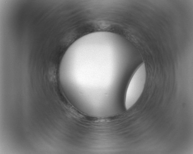 X0000071900274200607070927
