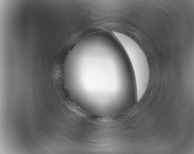 X0000071900284200607070927
