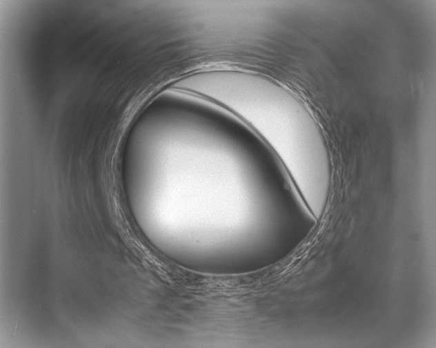 X0000071900289200607070926