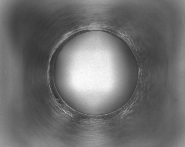 X0000071900292200607070926