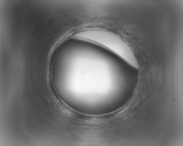 X0000071900293200607070926