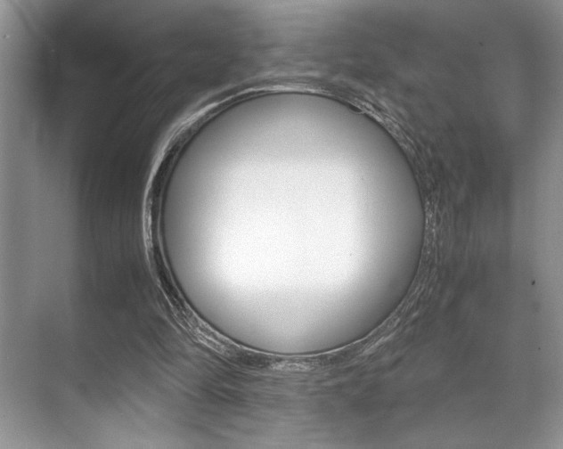 X0000071900294200607070926