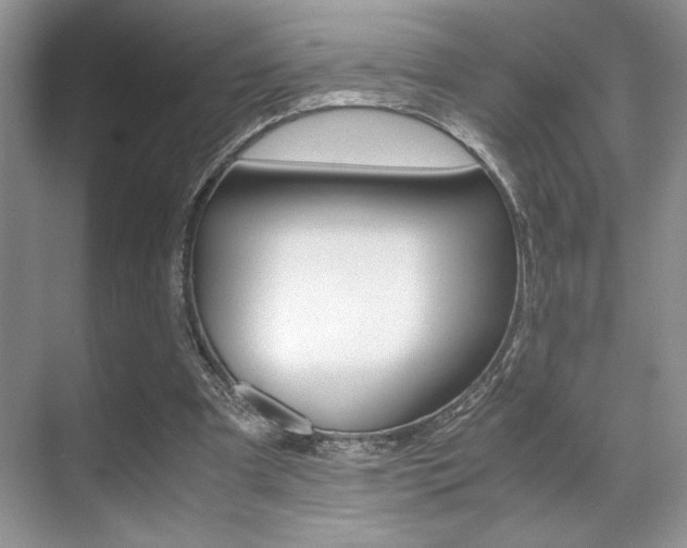 X0000071900297200607070926