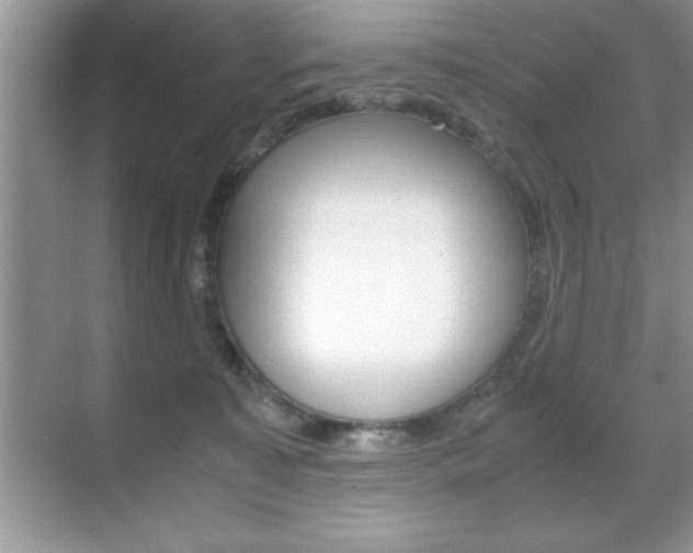 X0000071900323200607070926