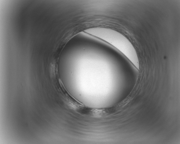 X0000071900333200607070926