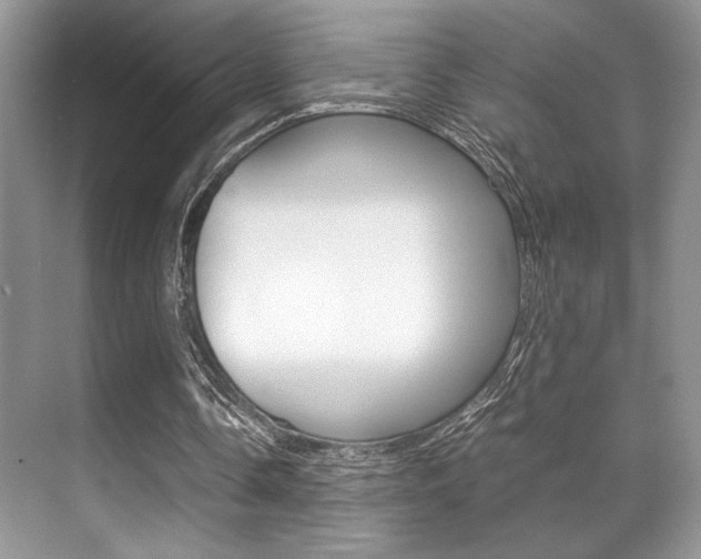 X0000071900338200607070925