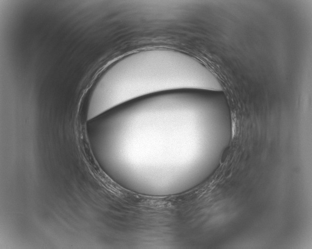 X0000071900339200607070925