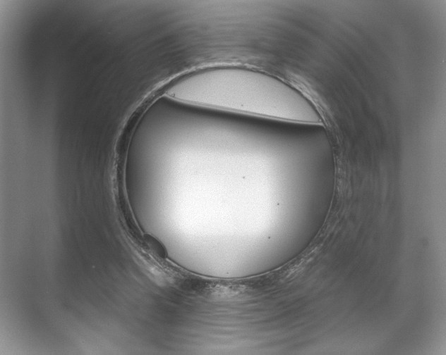 X0000071900346200607070925