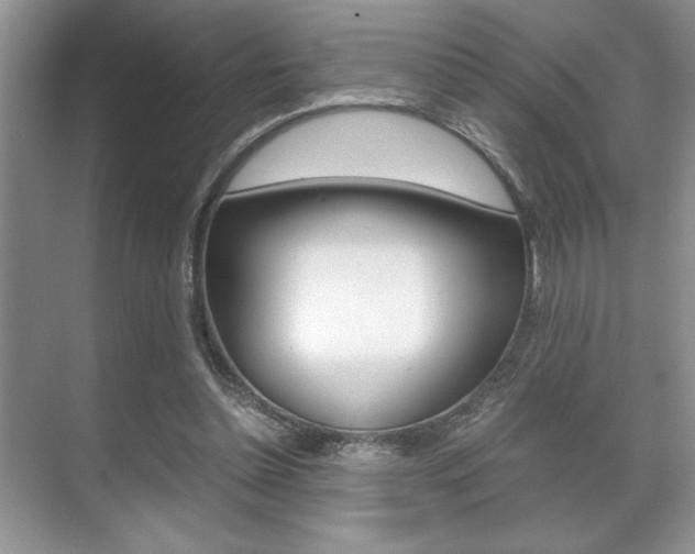 X0000071900348200607070925