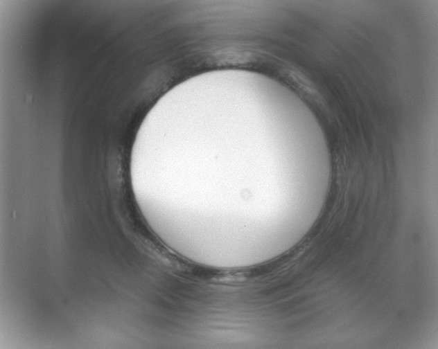 X0000071900362200607070925