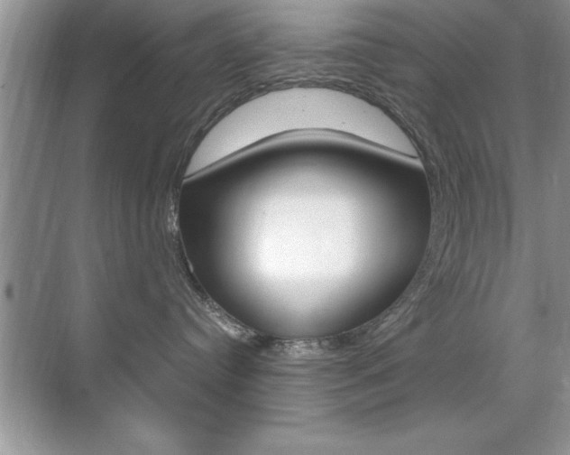 X0000071900384200607070926