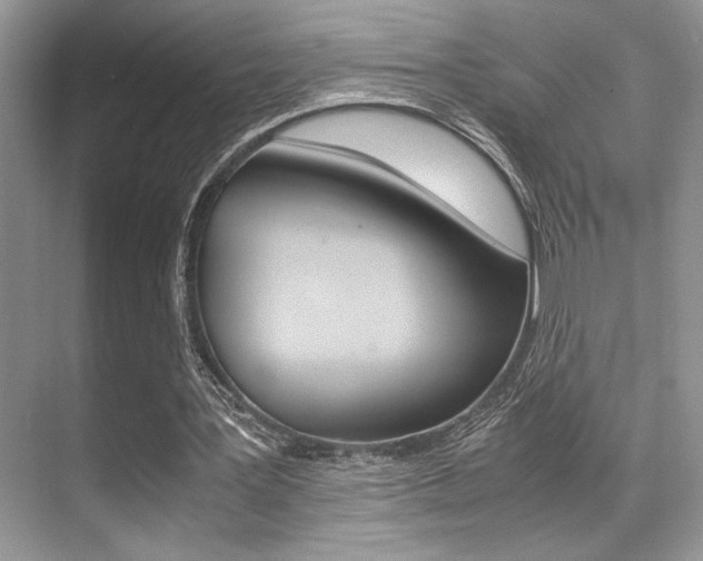 X0000071900387200607070925