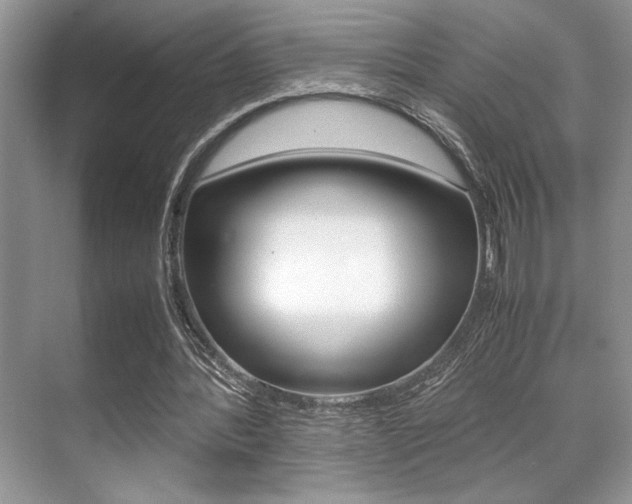X0000071900388200607070925