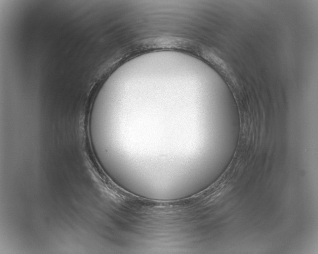 X0000071900394200607070925