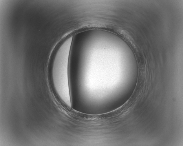 X0000071900395200607070925