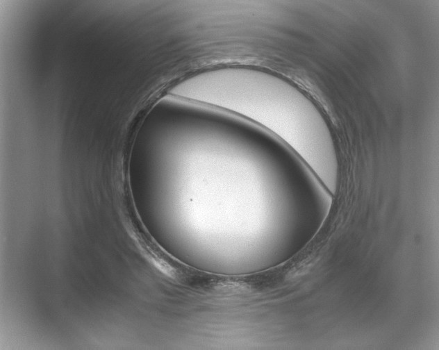 X0000071900397200607070925