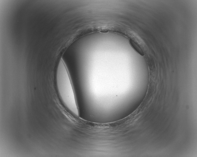 X0000071900401200607070924