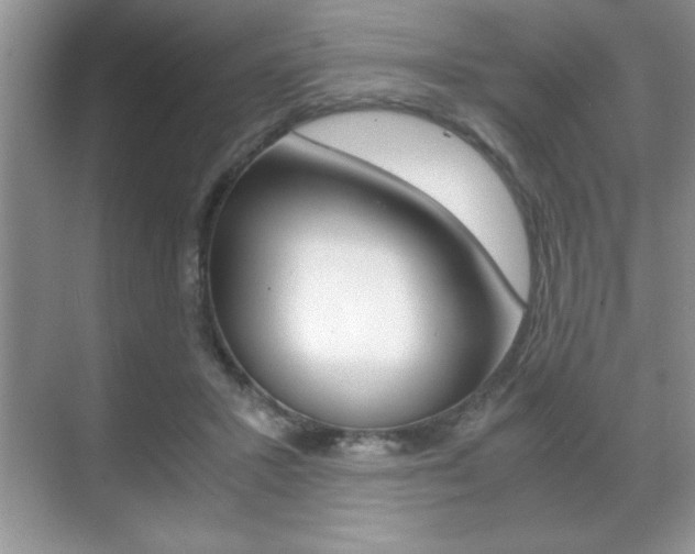 X0000071900407200607070924