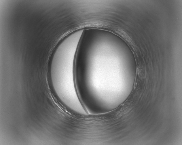 X0000071900434200607070923