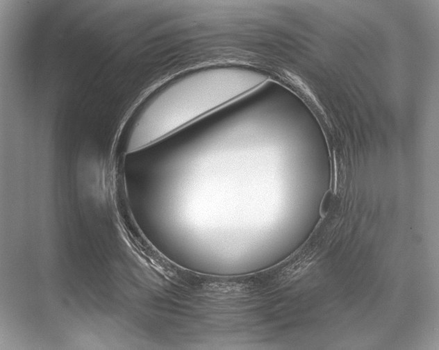 X0000071900435200607070923