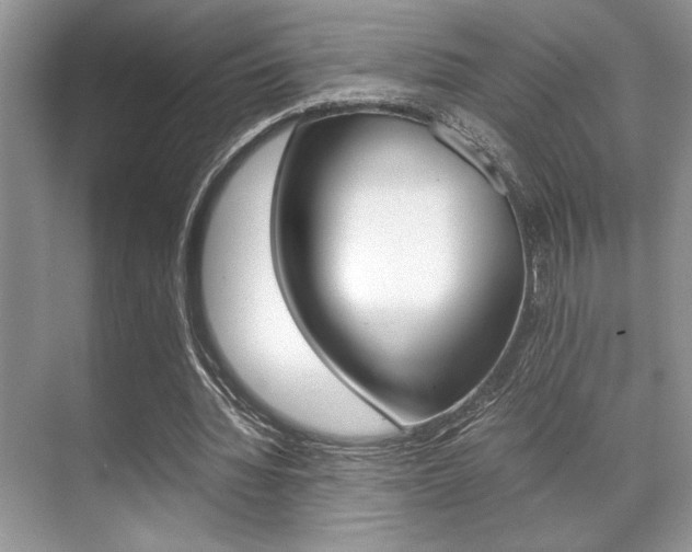 X0000071900436200607070923