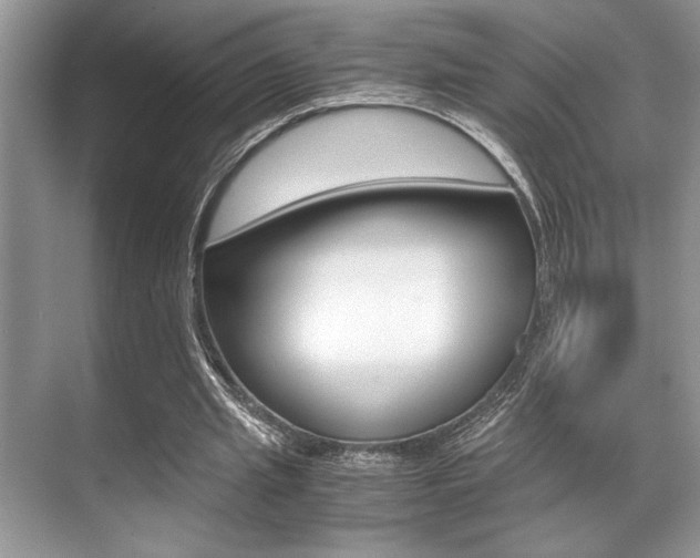 X0000071900437200607070923