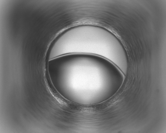 X0000071900438200607070923