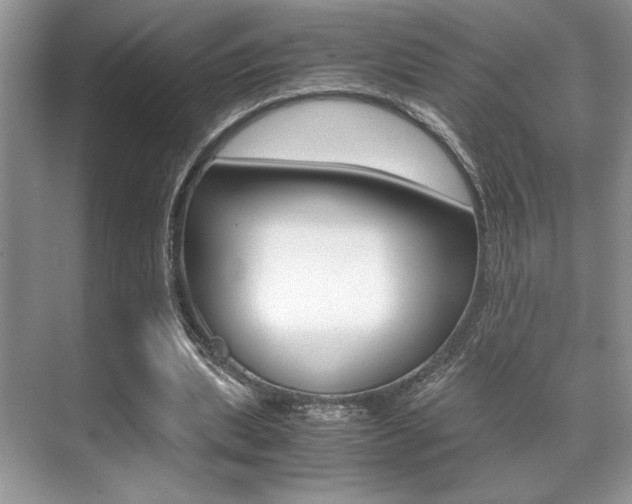 X0000071900439200607070923
